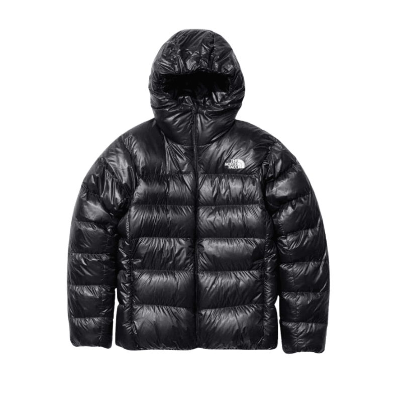 The North Face Alpine Nuptse Hoodie for