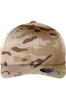 Multicam Arid